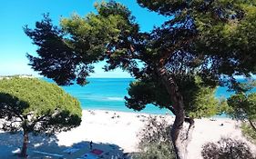 Beach House